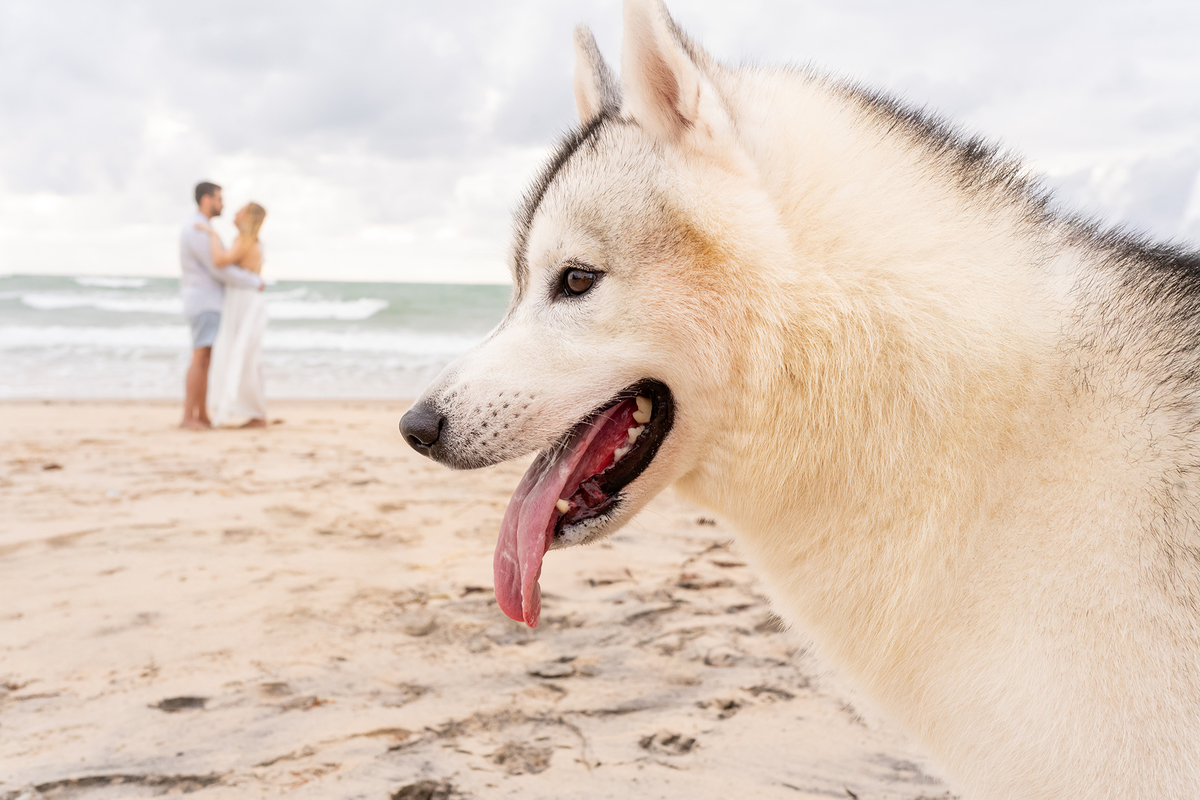Pré Wedding na praia do Paiva - Ana e Mario