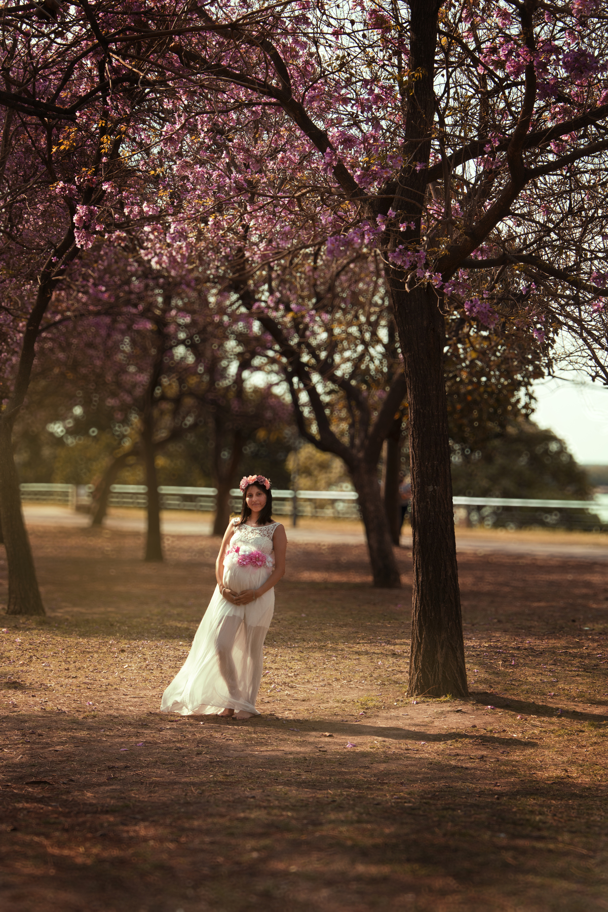 embarazada caminando entre arboleda, plano general