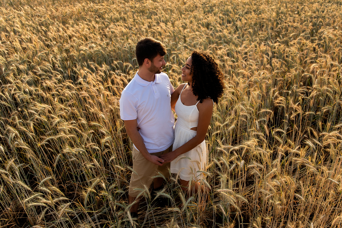 casal abraçado em campo de trigo com o por do sol ao fundo em Holambra