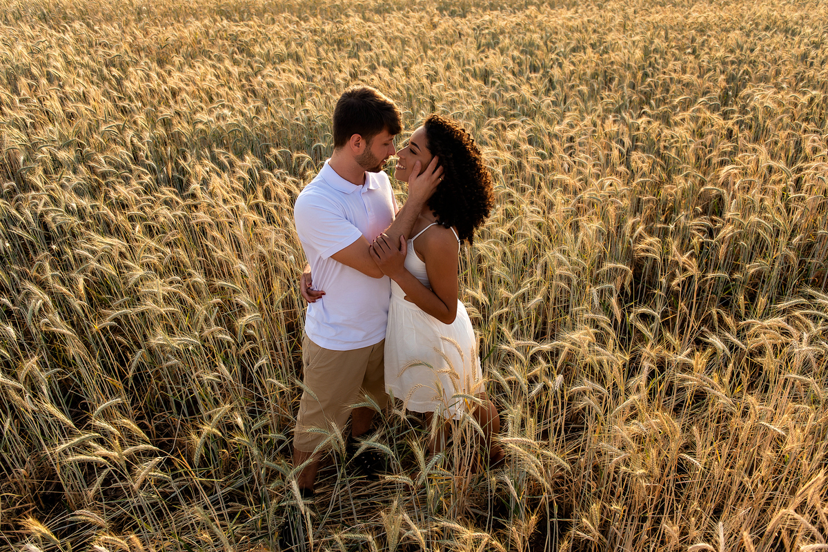 casal abraçado em campo de trigo com o por do sol ao fundo em Holambra