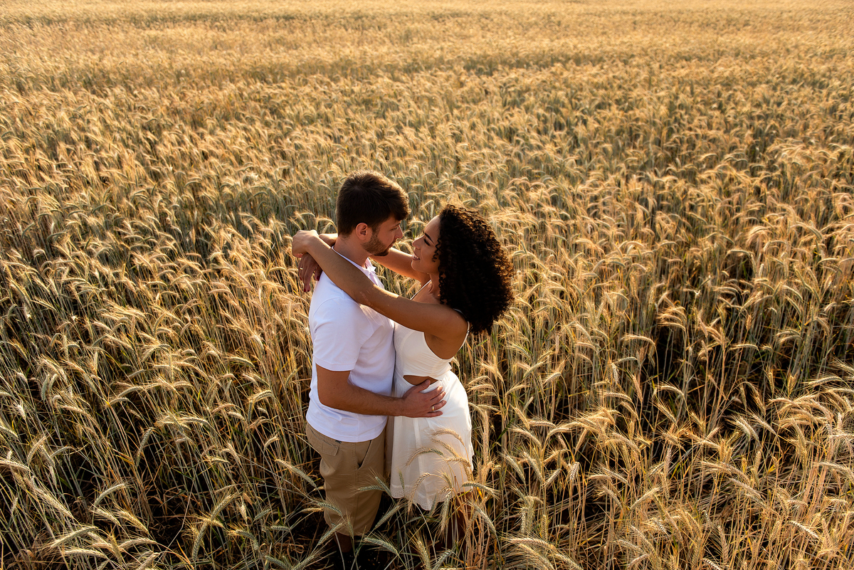 casal abraçado em campo de trigo com o por do sol ao fundo em Holambra