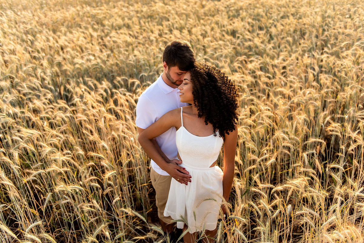casal abraçado em campo de trigo com o por do sol ao fundo em Holambra