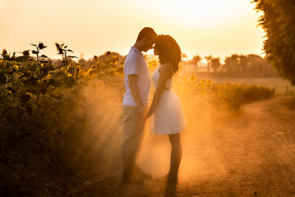 casal abraçado em campo de girassol com o por do sol ao fundo em Holambra