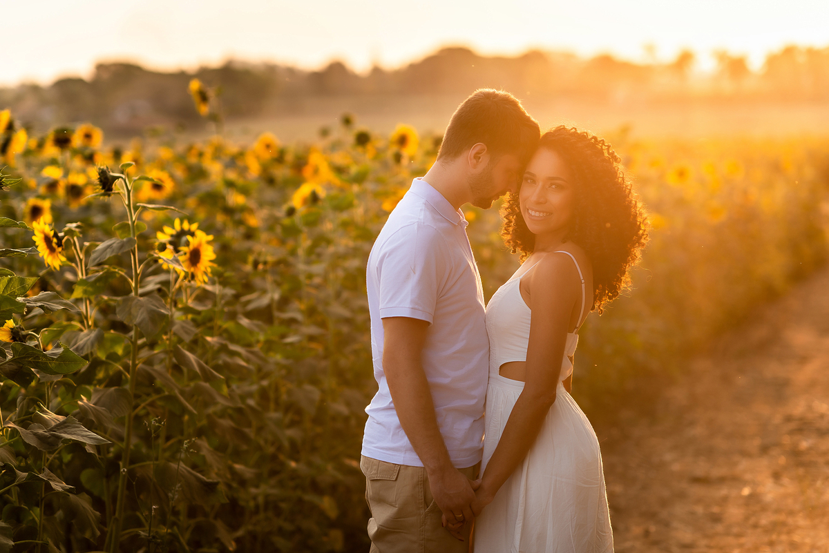 casal abraçado em campo de girassol com o por do sol ao fundo em Holambra