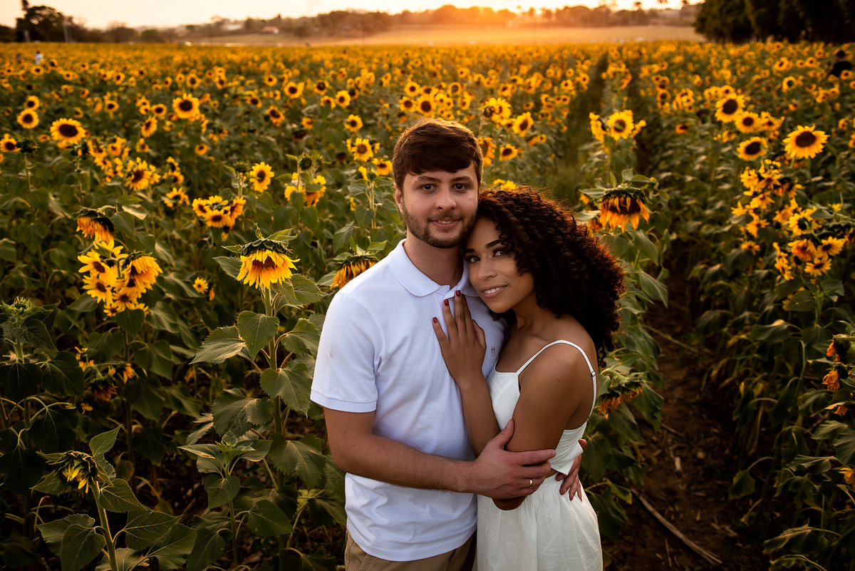 casal abraçado em campo de girassol com o por do sol ao fundo em Holambra