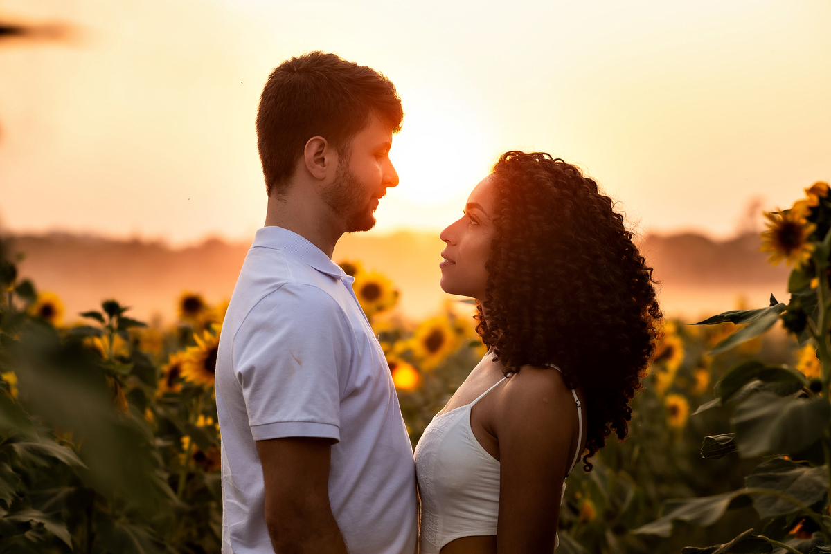 casal abraçado em campo de girassol com o por do sol ao fundo em Holambra