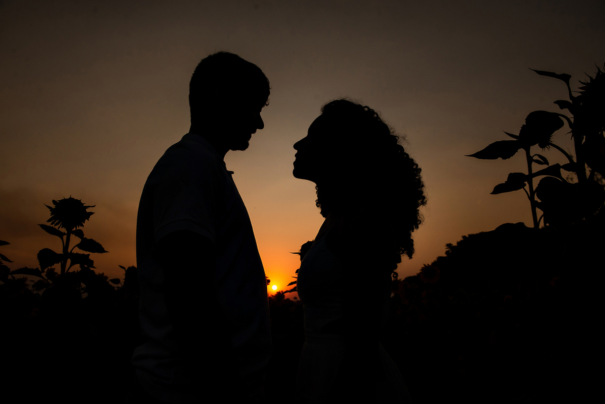 casal abraçado em campo de girassol com o por do sol ao fundo em Holambra