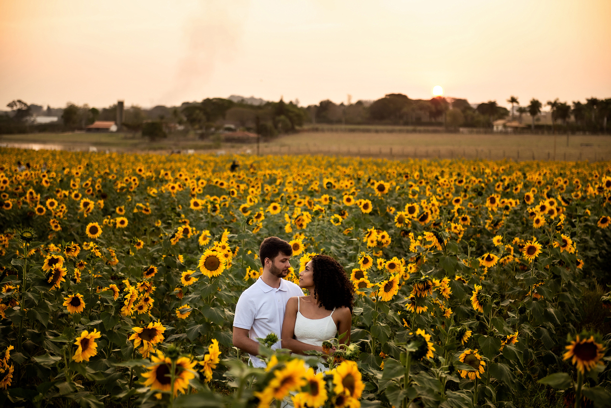 casal abraçado em campo de girassol com o por do sol ao fundo em Holambra