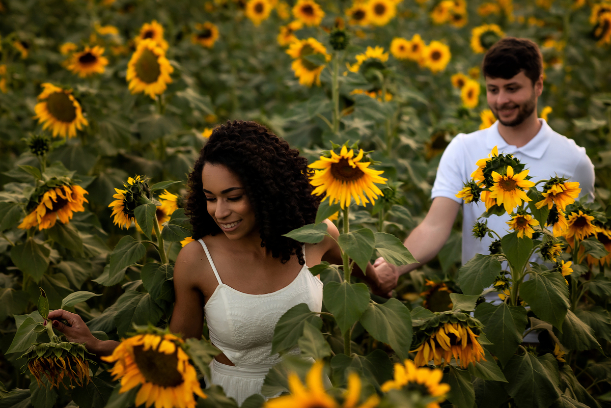 casal abraçado em campo de girassol com o por do sol ao fundo em Holambra