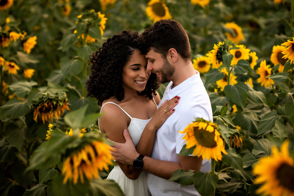 casal abraçado em campo de girassol com o por do sol ao fundo em Holambra