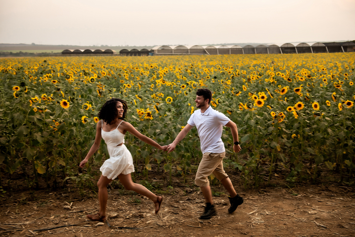 casal correndo em campo de girassol com o por do sol ao fundo em Holambra