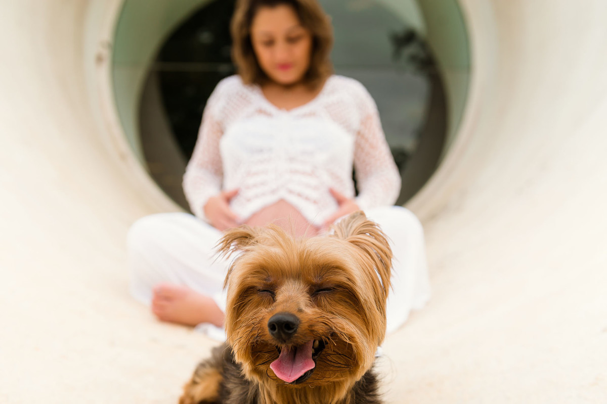 cachorro sorrindo com mulher gestante atras sentada