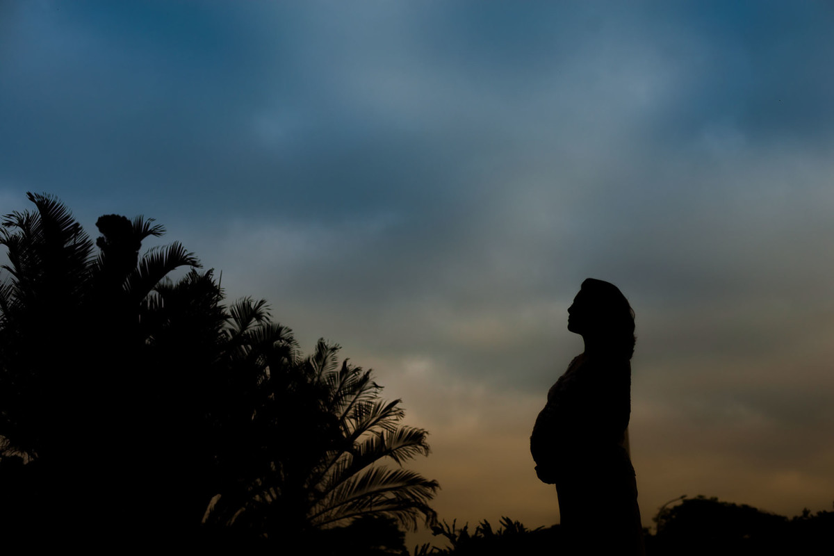 mulher gestante no nascer do sol no parque do ibirapuera