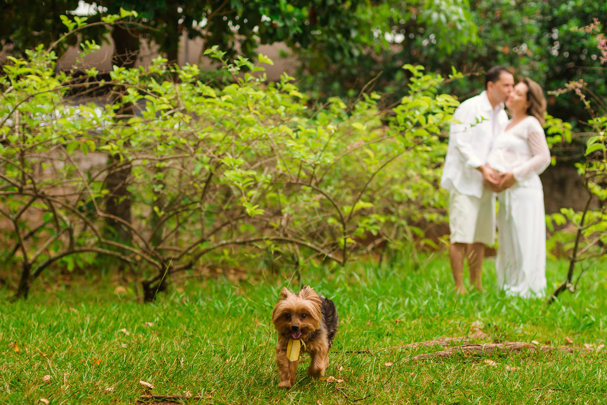 casal gestante abraçados no parque ibirapuera