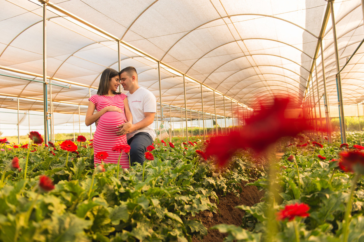 casal gestante abraçados em plantação de flores em Holambra