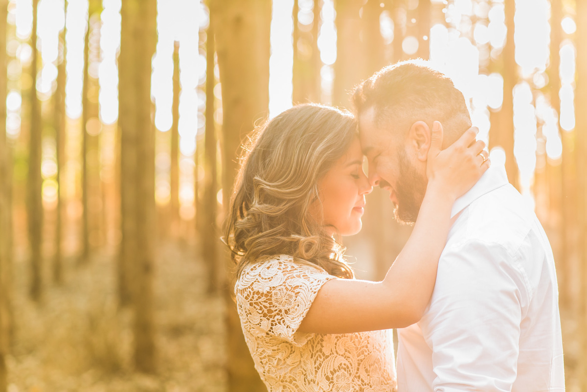 ensaio de casal, pre-wedding casal abraçados em platação de eucaliptos em Holambra cidade das flores