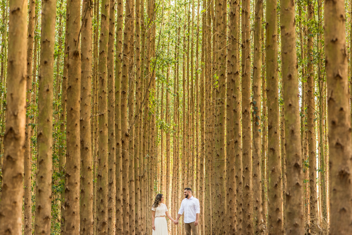 ensaio de casal, pre-wedding casal correndo em platação de eucaliptos em Holambra cidade das flores
