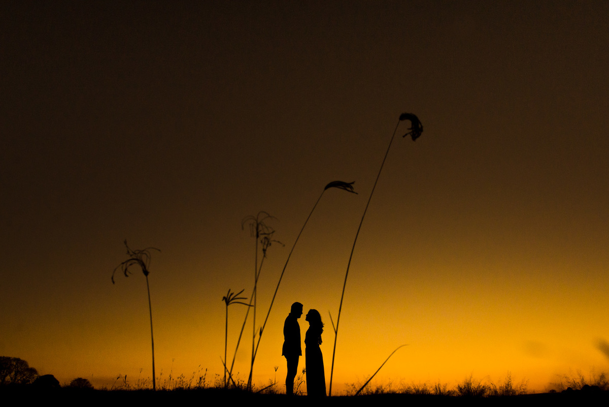 ensaio de casal, pre-wedding casal em campo de feno no por do sol em Holambra cidade das flores