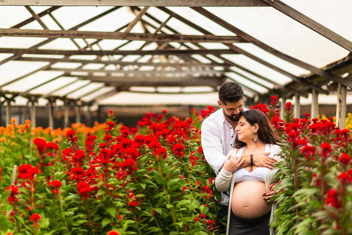 casal gestante abraçados em estufa 
e campo de flores em Holambra - cidade das flores