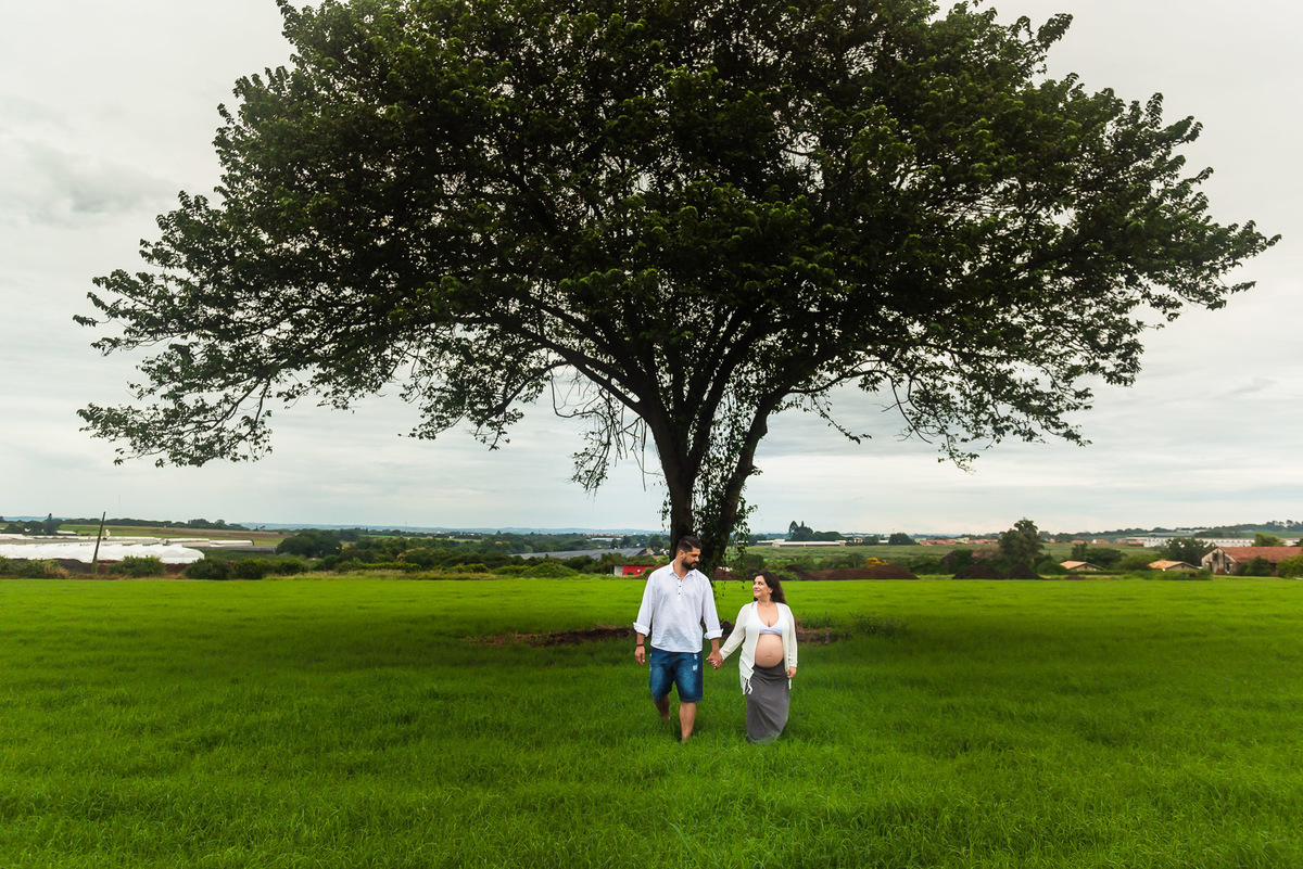 casal gestante de mãos dadas se olhando e caminhando campo com arvore solitaria em Holambra - cidade das flores