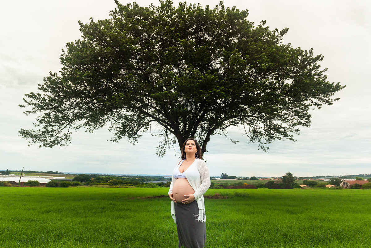 casal gestante de mãos dadas se olhando e caminhando campo com arvore solitaria em Holambra - cidade das flores