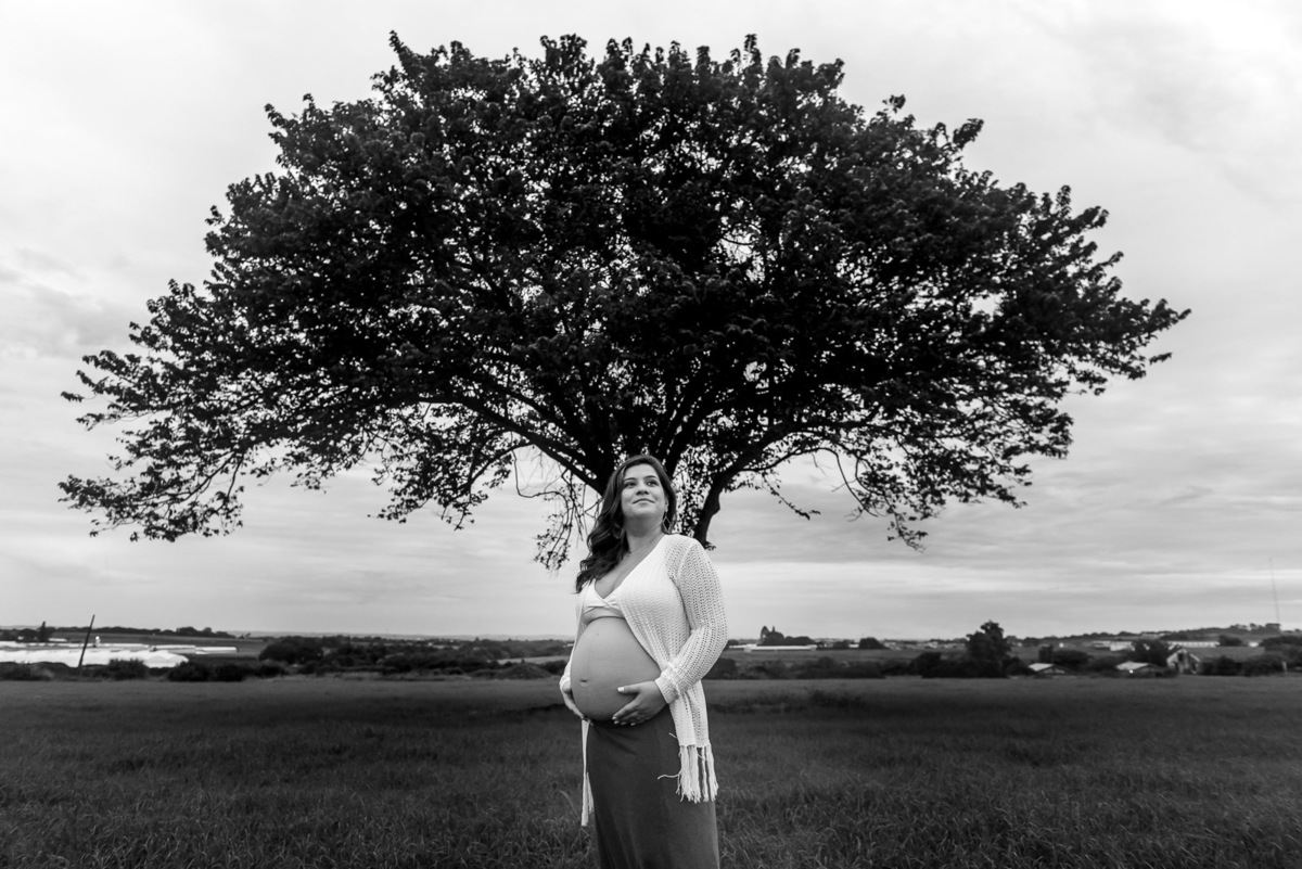 casal gestante de mãos dadas se olhando e caminhando campo com arvore solitaria em Holambra - cidade das flores