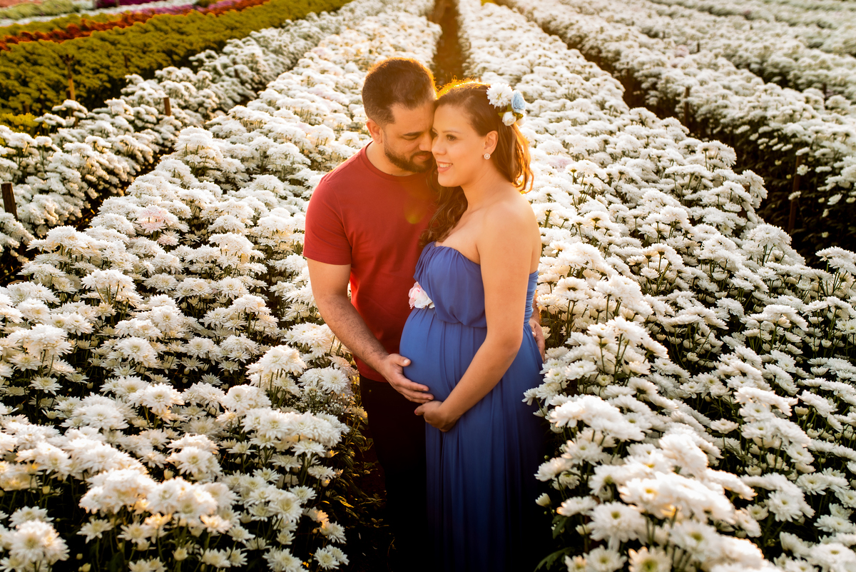 ensaio de gestante com casal abraçados e sorrindo em meio a plantação de margaridas com o por do sol ao fundo em holambra cidade das flores