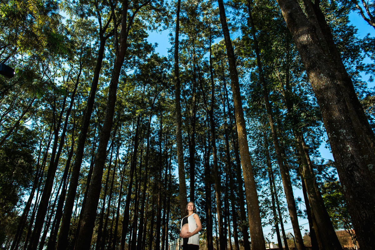 mulher gestante na cidade de Holambra