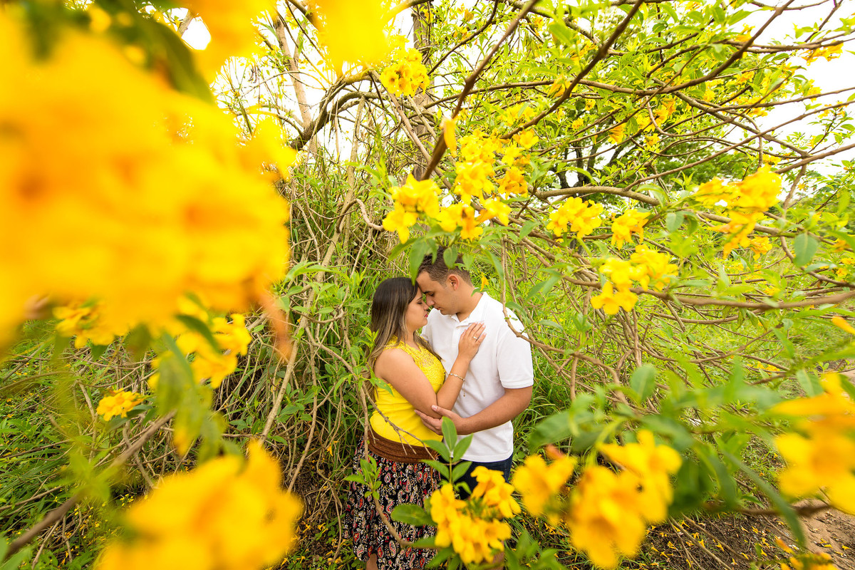 ensaio casal elaine e miguel na Floresta Nacional de Ipanema em Iperó fotografo de casamento em São Paulo