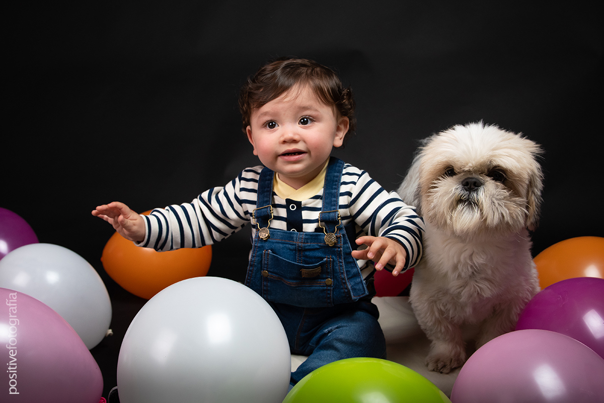 Niño con su perro Shih Tzu y globos