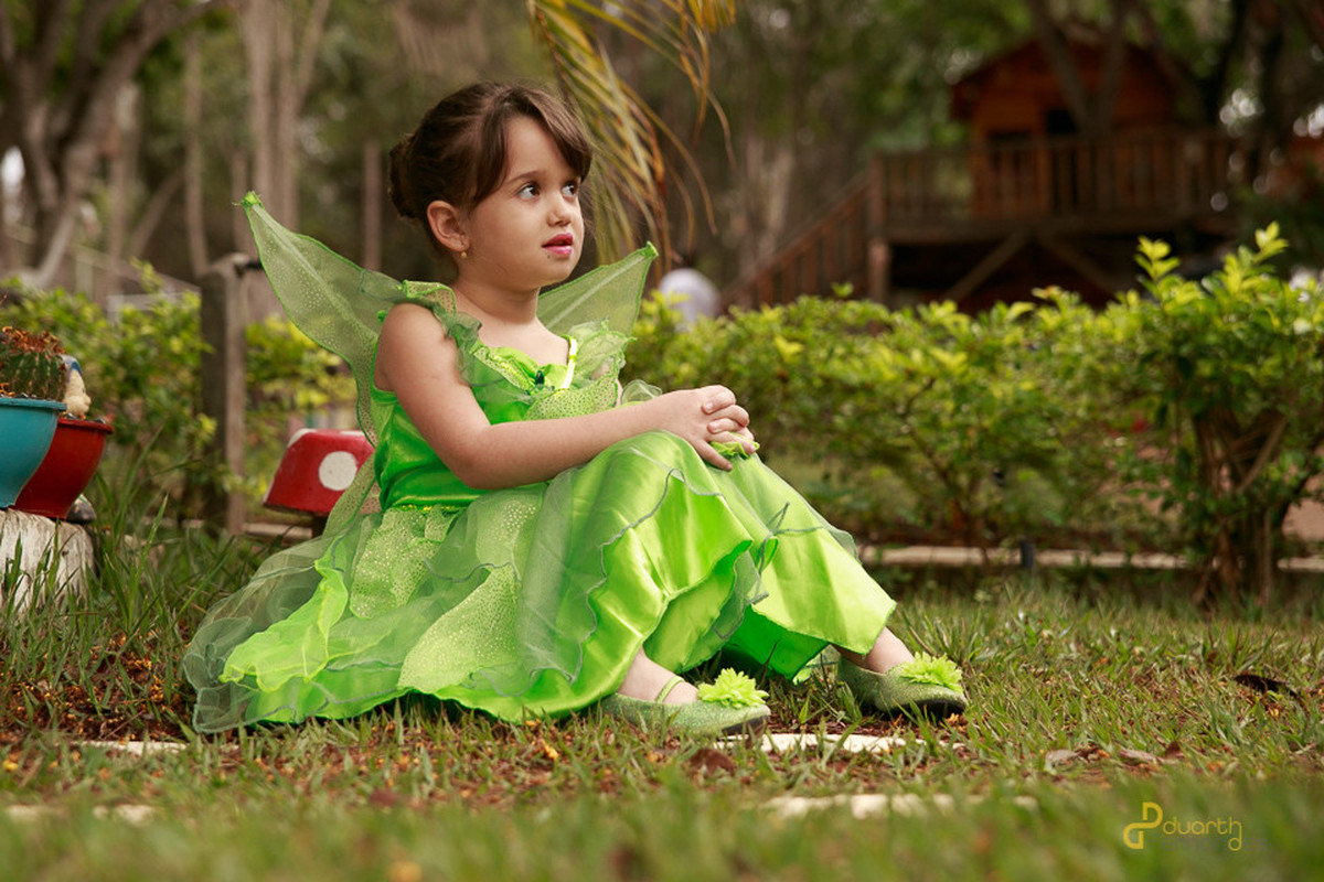 tinker bell em veredinha mg