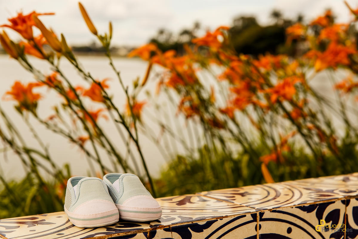 imagem do sapatinho do bebê