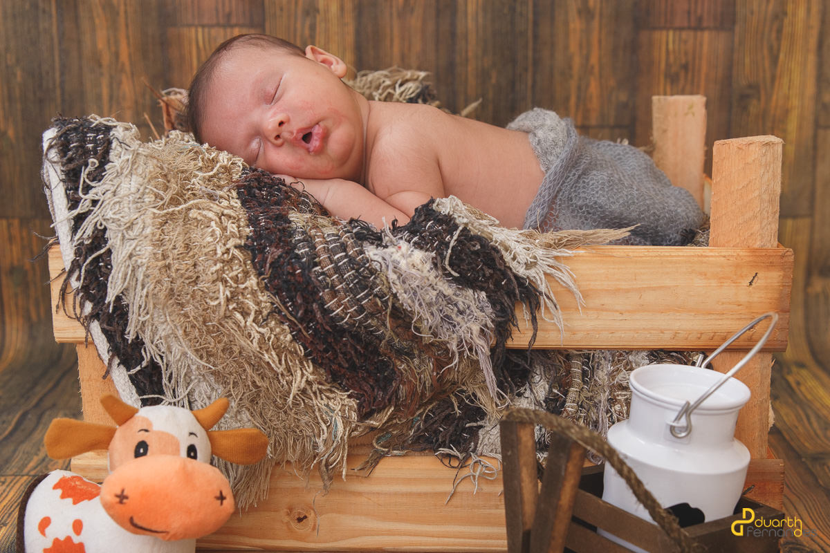 Fotografado no caixote