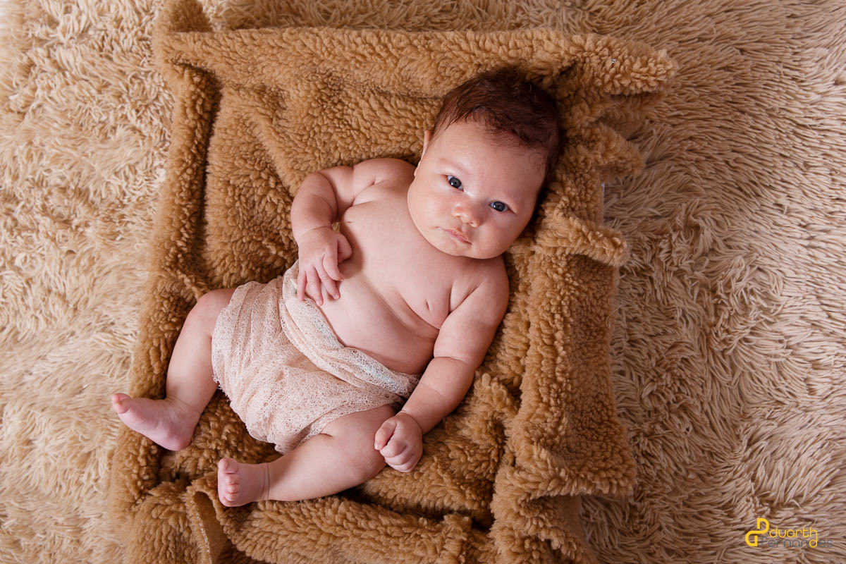 Olhando firmemente para o fotógrafo Duarth