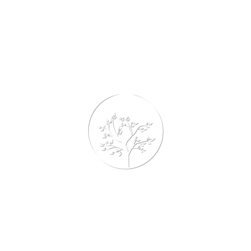 Logotipo de Deivid Anderson da Silva