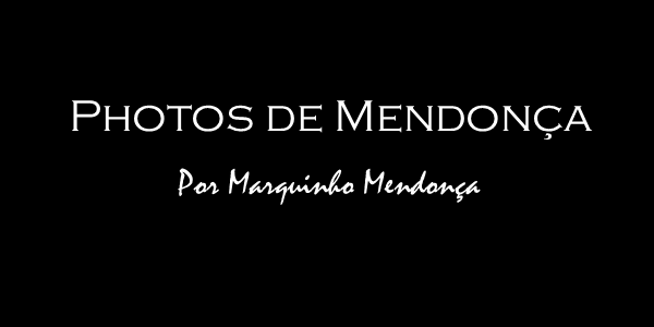 Contate Fotografia Social em Uberlândia: Casamento Civil, Ensaios Corporativos e Mais!