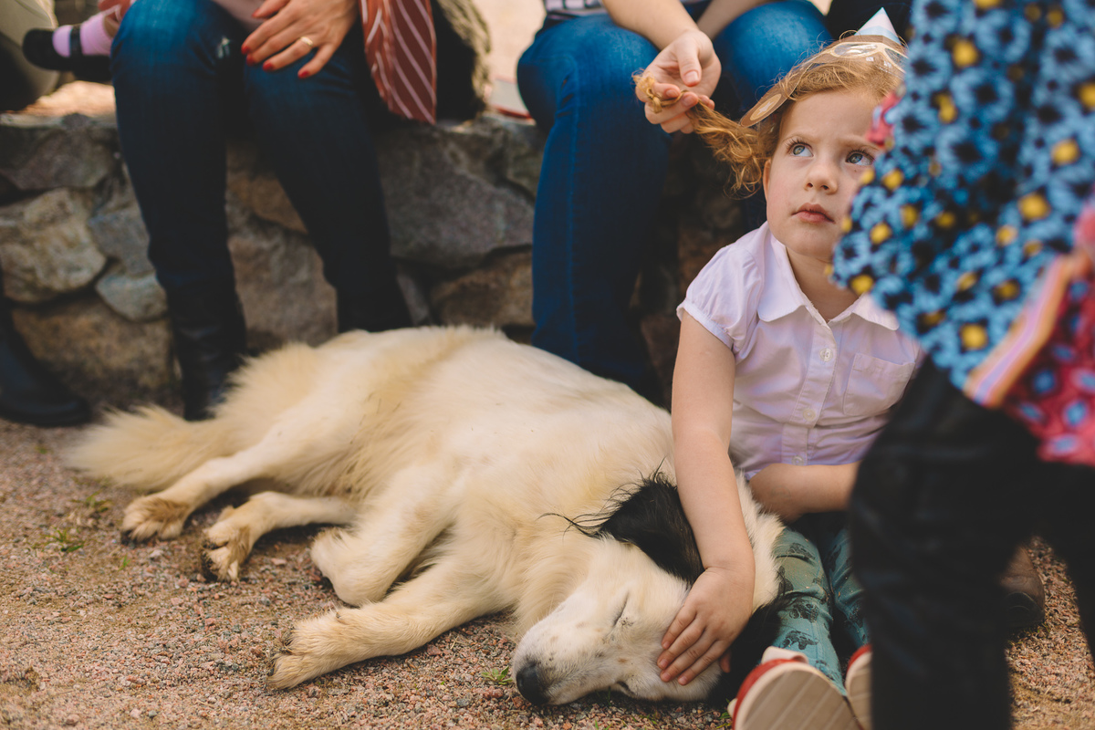 criança pequena fazendo carinho no cachorro