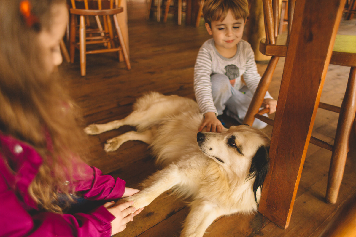 crianças acariciando um cachorro