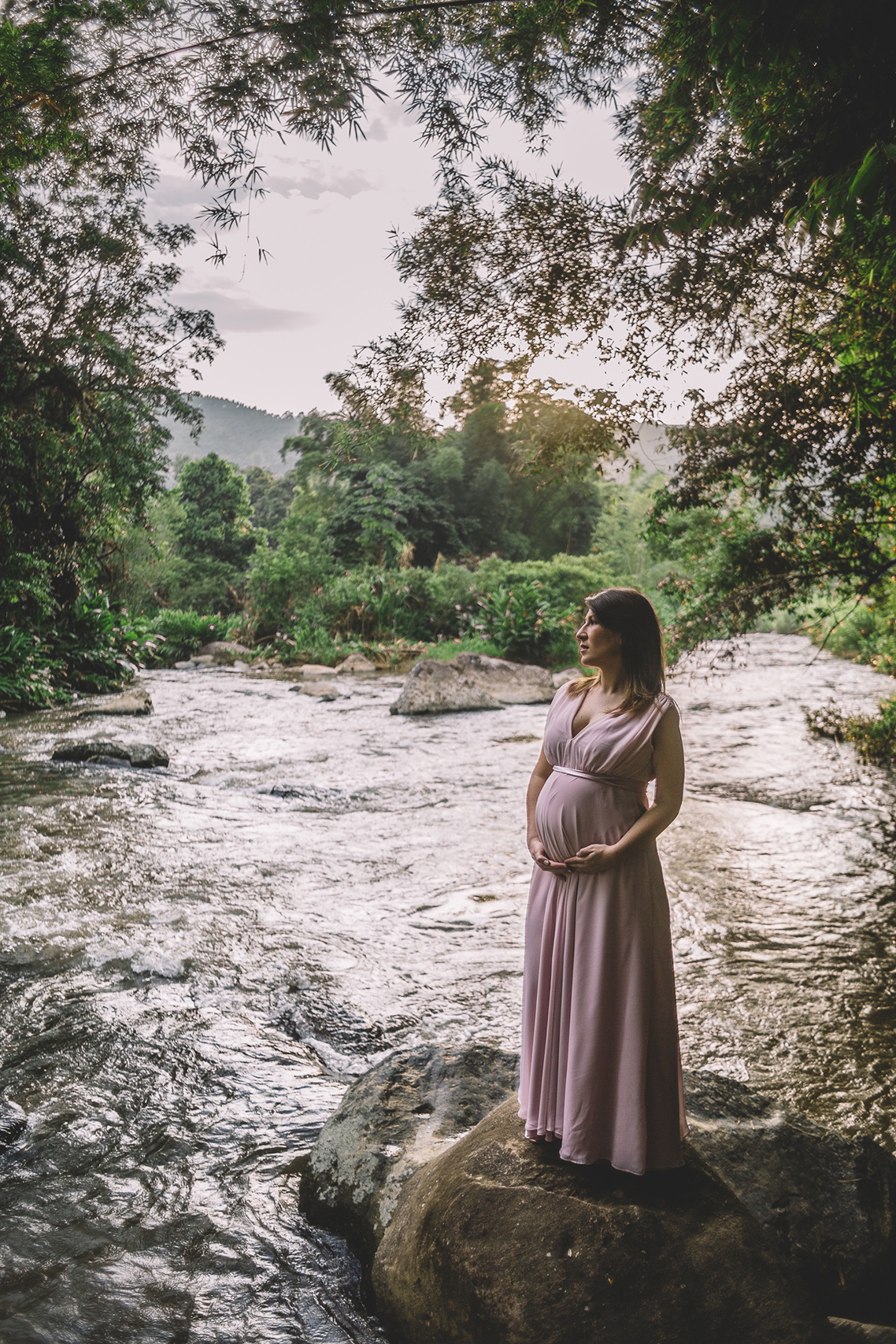 Mulher grávida admirando a natureza
