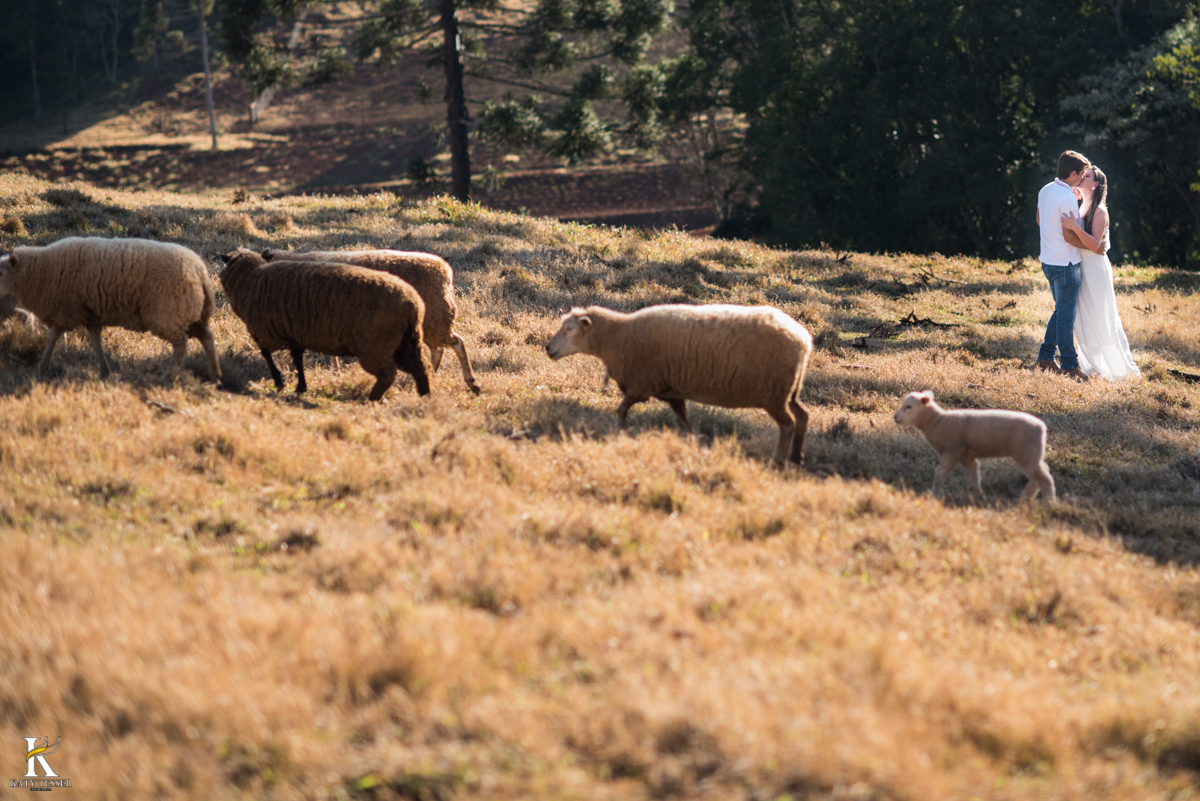 sessão pre casamento, na fazenda com cavalos e outros animais, com um casal com roupas cowntry a noiva com vestido branco, registrado pela fotografa katy tesser