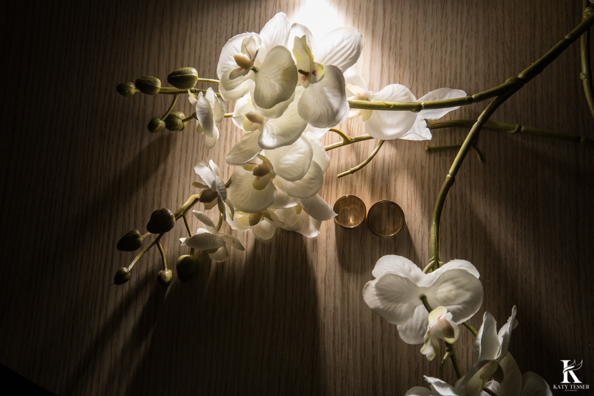 Casamento ao ar livre de dia na cabana manhare em Francisco beltrao parana de Ademir ana Paula as fotos de katy tesser fotografo as alianças dos noivos