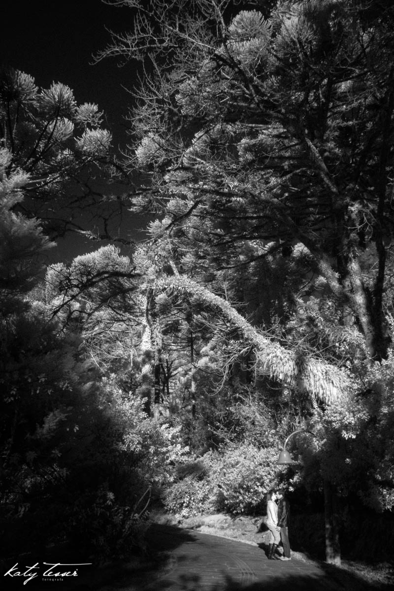 Katy Tesser, Fotografa, Book, pre wedding, pre casamento, fotos criativas, fotos externas, gramado, RS