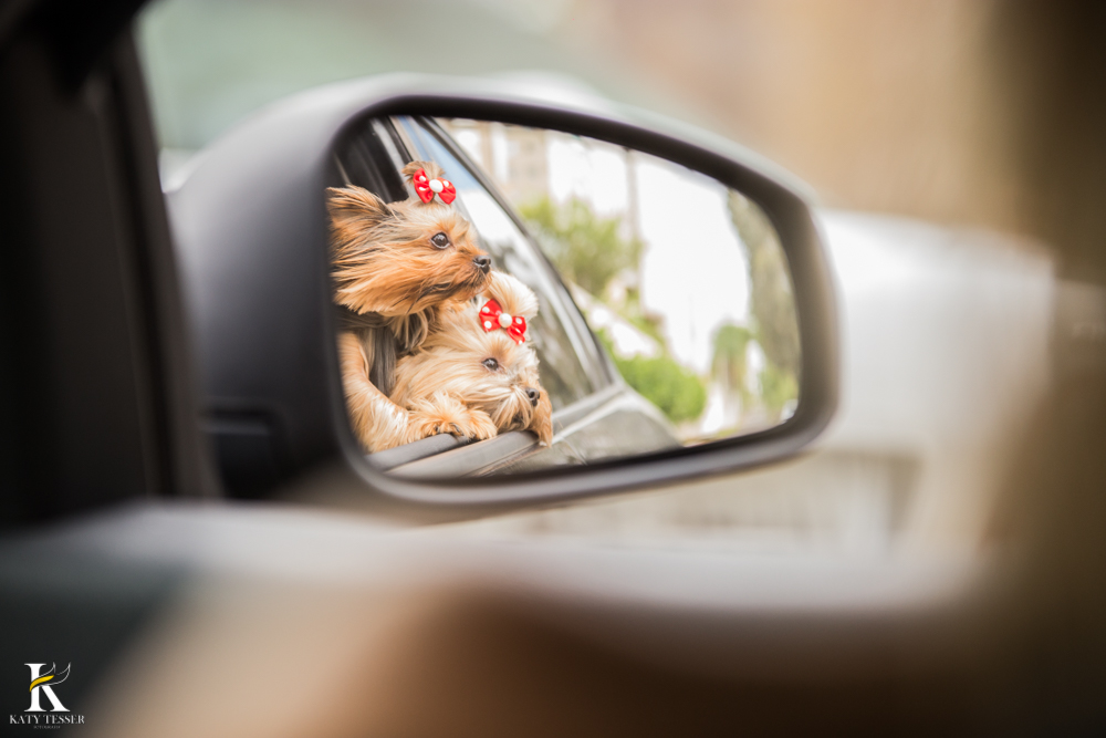 katy-tesser-fotografa-book-pre casamento-pre wedding-wedding-noivo-noiva-casamento-brasilia-df-parana-brasil-exterior-fotos-externas-arquitetura