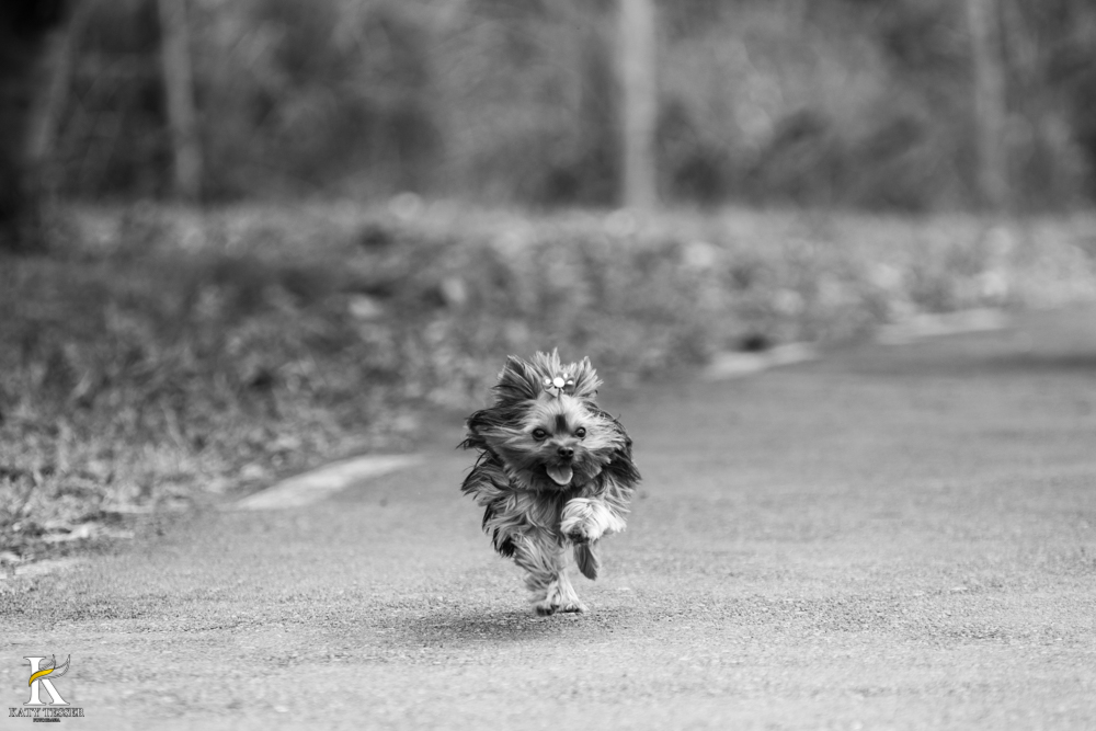 katy-tesser-fotografa-book-pre casamento-pre wedding-wedding-noivo-noiva-casamento-brasilia-df-parana-brasil-exterior-fotos-externas-arquitetura