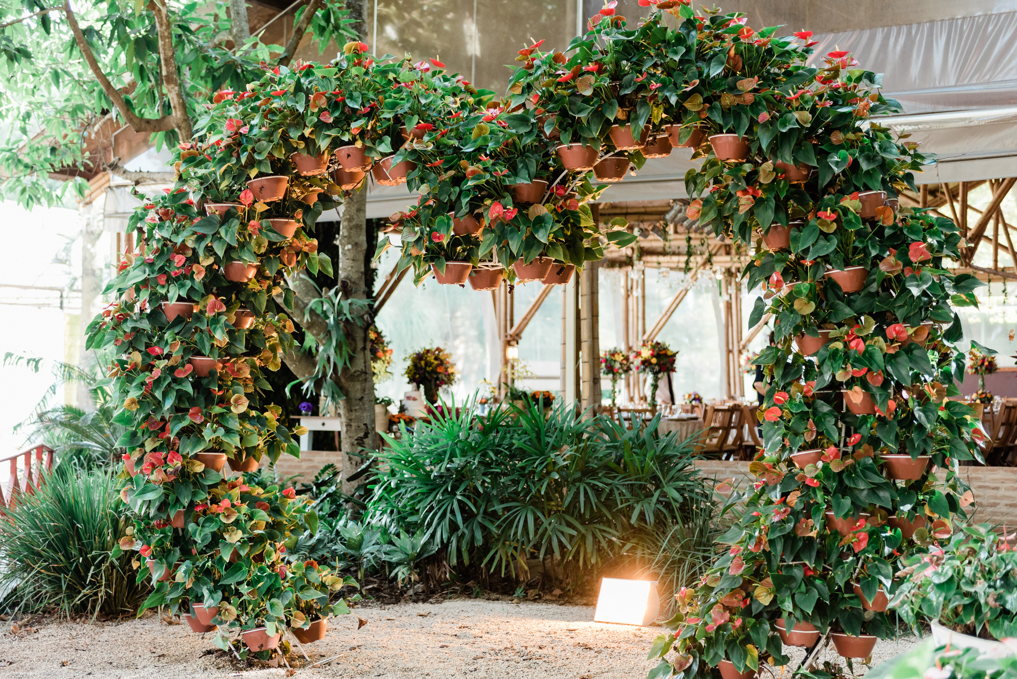 Casamento em Holambra Casamento no interior de São Paulo Fotógrafo de casamento no interior de São Paulo Fotógrafo de casamentos em São Paulo Casamento judaico Casamento no campo Noiva Noivos Onde casar em São Paulo? Decoração rústica de casamento