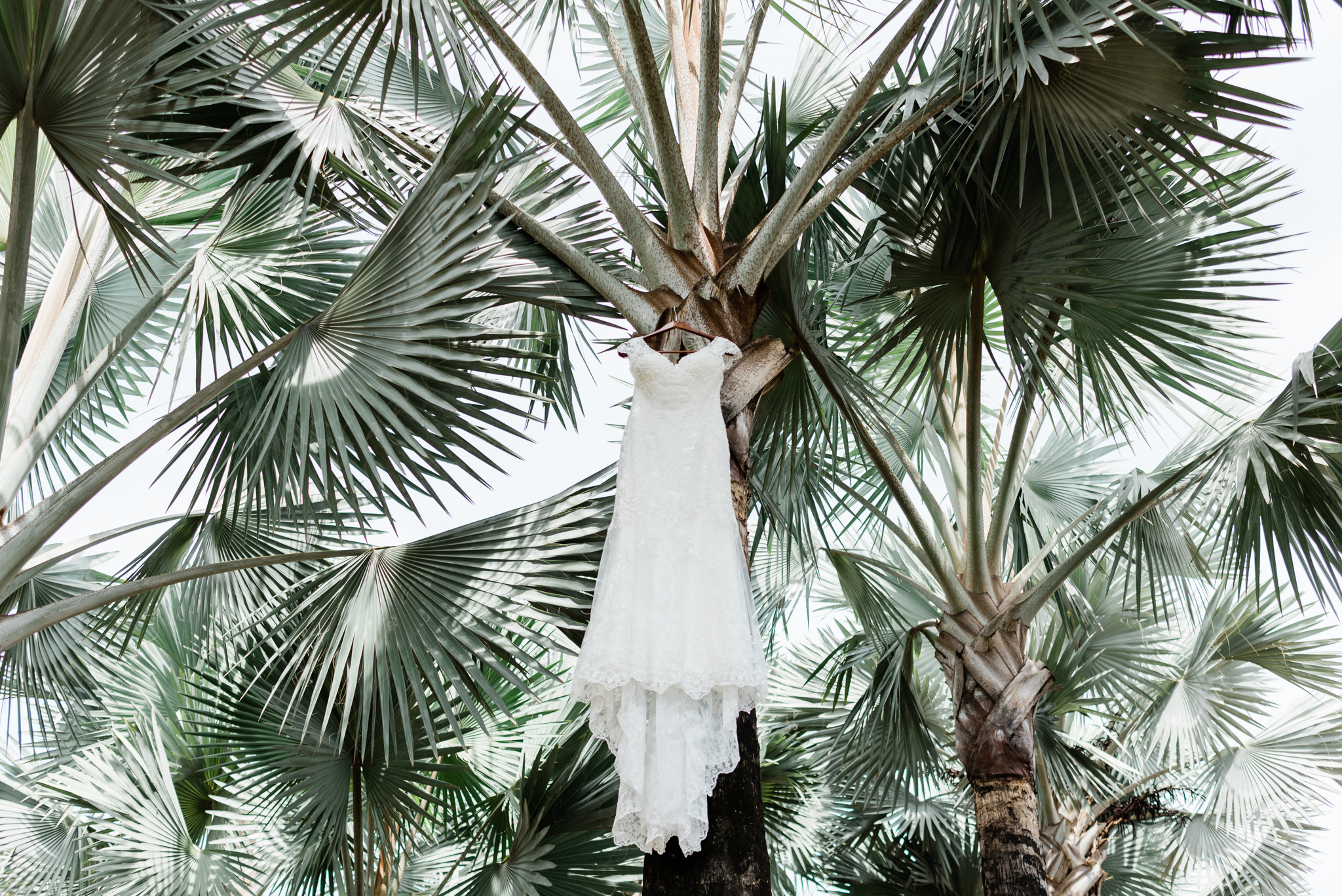 Casamento em Holambra Casamento no interior de São Paulo Fotógrafo de casamento no interior de São Paulo Fotógrafo de casamentos em São Paulo Casamento judaico Casamento no campo Noiva Noivos Onde casar em São Paulo? Melhores fotógrafos de casamento