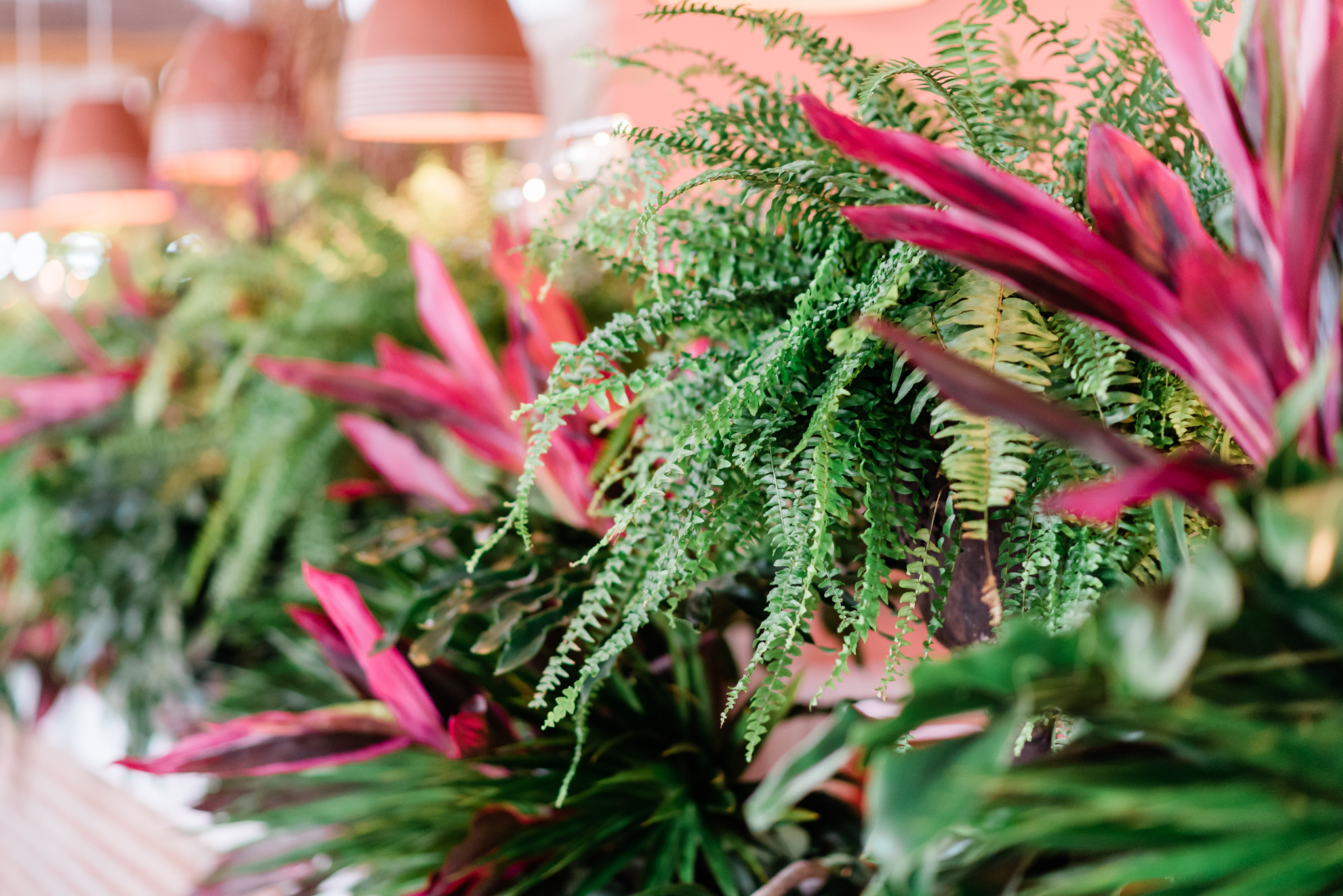 Casamento em Holambra Casamento no interior de São Paulo Fotógrafo de casamento no interior de São Paulo Fotógrafo de casamentos em São Paulo Casamento judaico Casamento no campo Noiva Noivos Onde casar em São Paulo? Decoração rústica de casamento