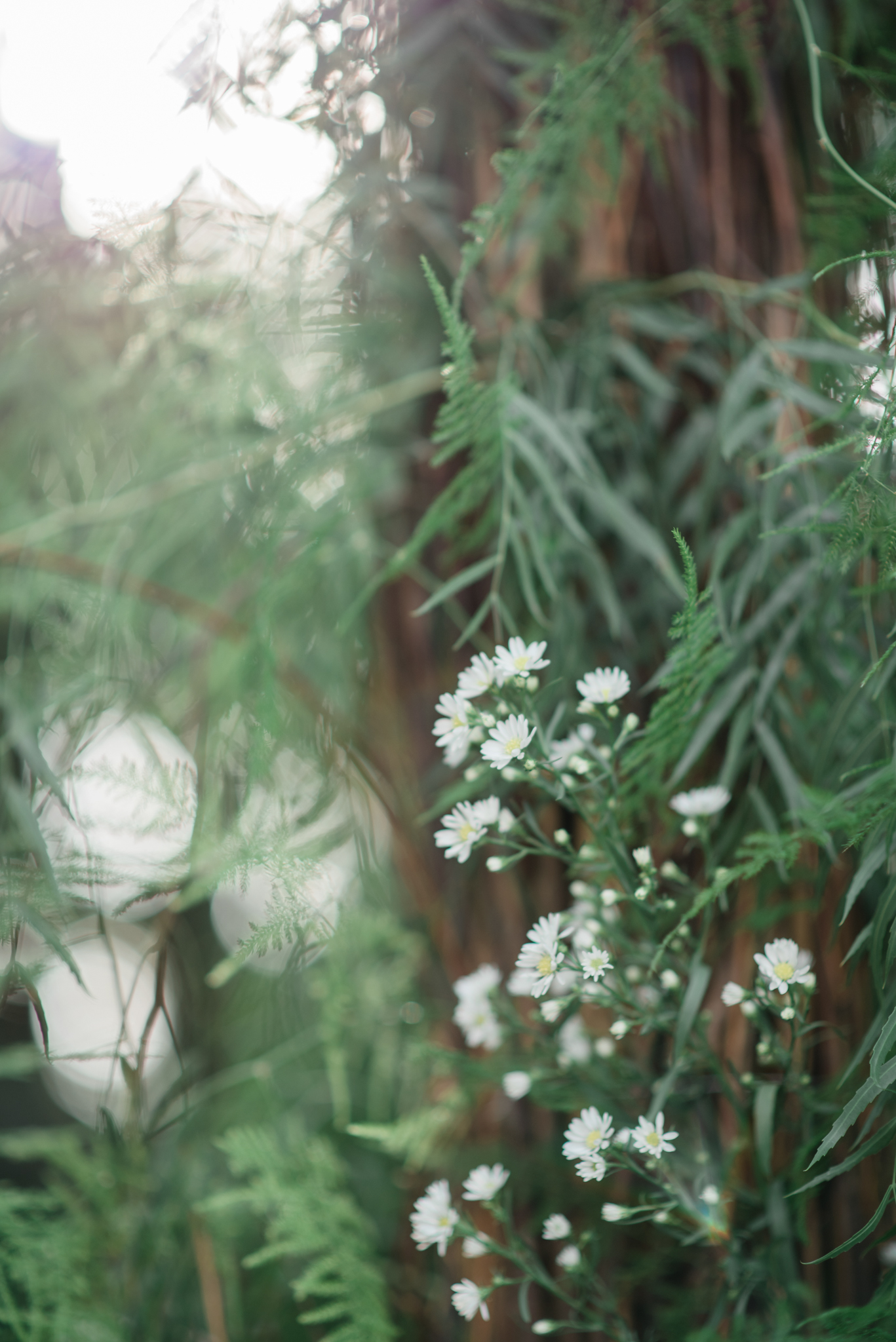 Casamento em Holambra Casamento no interior de São Paulo Fotógrafo de casamento no interior de São Paulo Fotógrafo de casamentos em São Paulo Casamento judaico Casamento no campo Noiva Noivos Onde casar em São Paulo? Decoração rústica de casamento