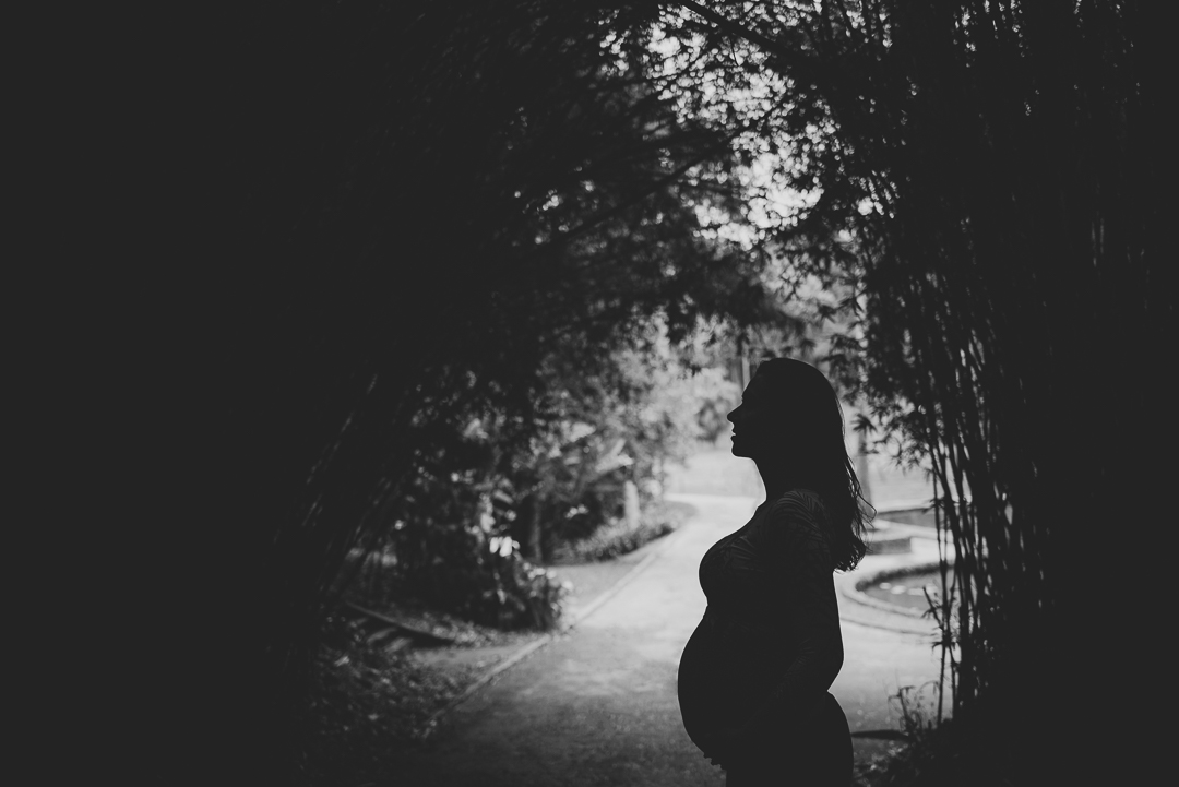 gestante pode tomar vacina da febre amarela ensaio gestante fotos de gestante book de gestante gestação mãe de menina mãe de menino maternidade parto cesárea parto natural ensaio Jardim Botânico contrações gestação #meumundoazul #meumundocorderosa newborn