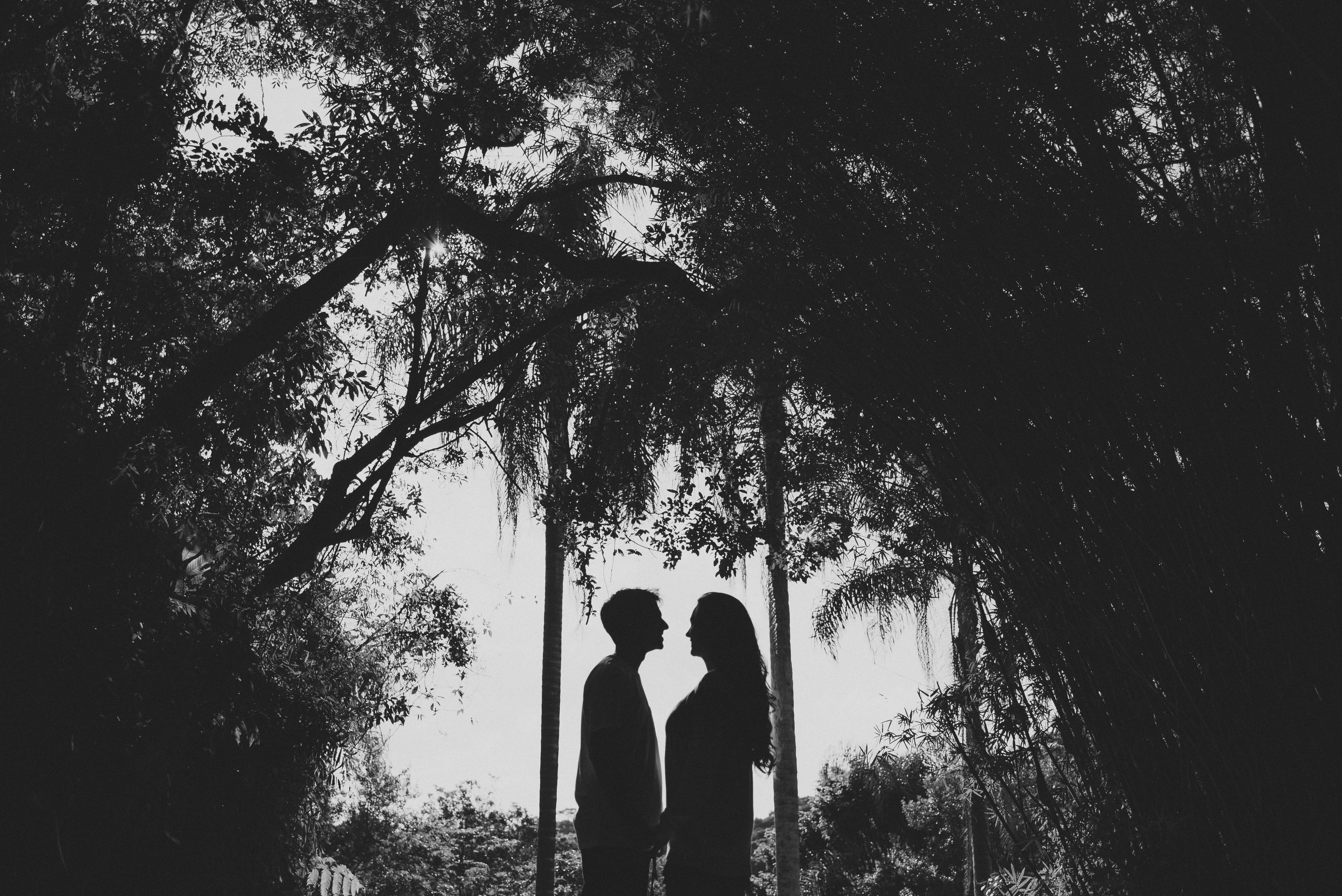 Ensaio pré-wedding em São Paulo Fotógrafo para ensaio de casal em São Paulo Ensaio fotográfico no Jardim Botânico de São Paulo Ensaio de casal Pré-wedding Noivos Noivado Melhores fotógrafos de São Paulo Lugares para fazer ensaio em São Paulo